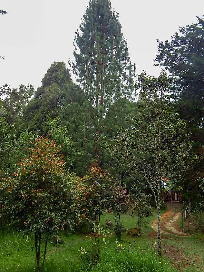 Cubo De Ensueno Villa Santa Elena  0*, Santa Elena (Antioquia)