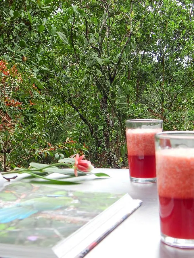 Cubo De Ensueno Villa Santa Elena  Lodge